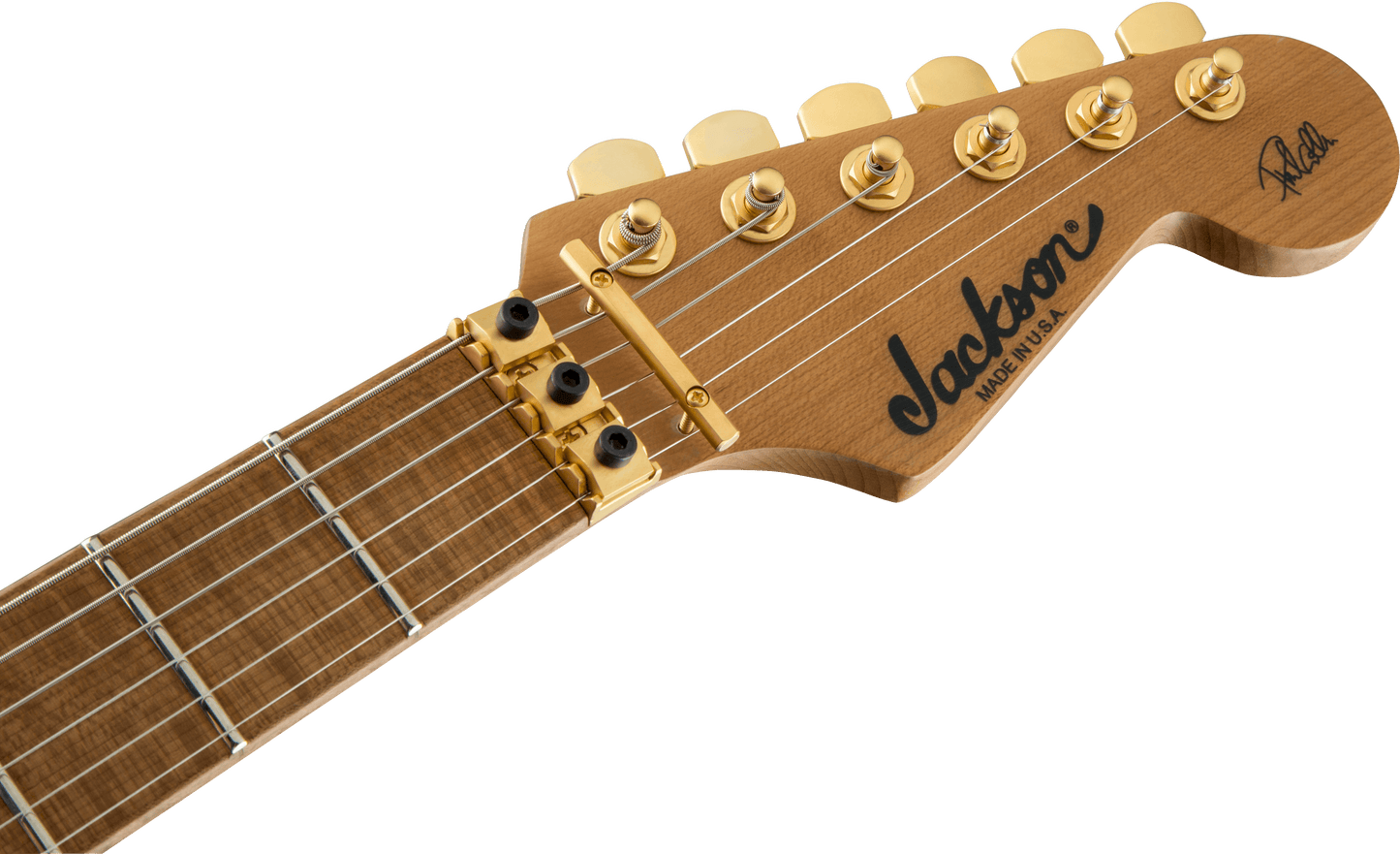 USA Signature Phil Collen PC1™ Satin Stain