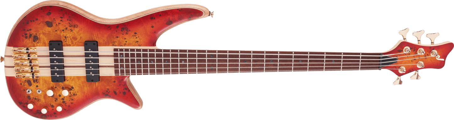 Pro Series Spectra Bass SBP V